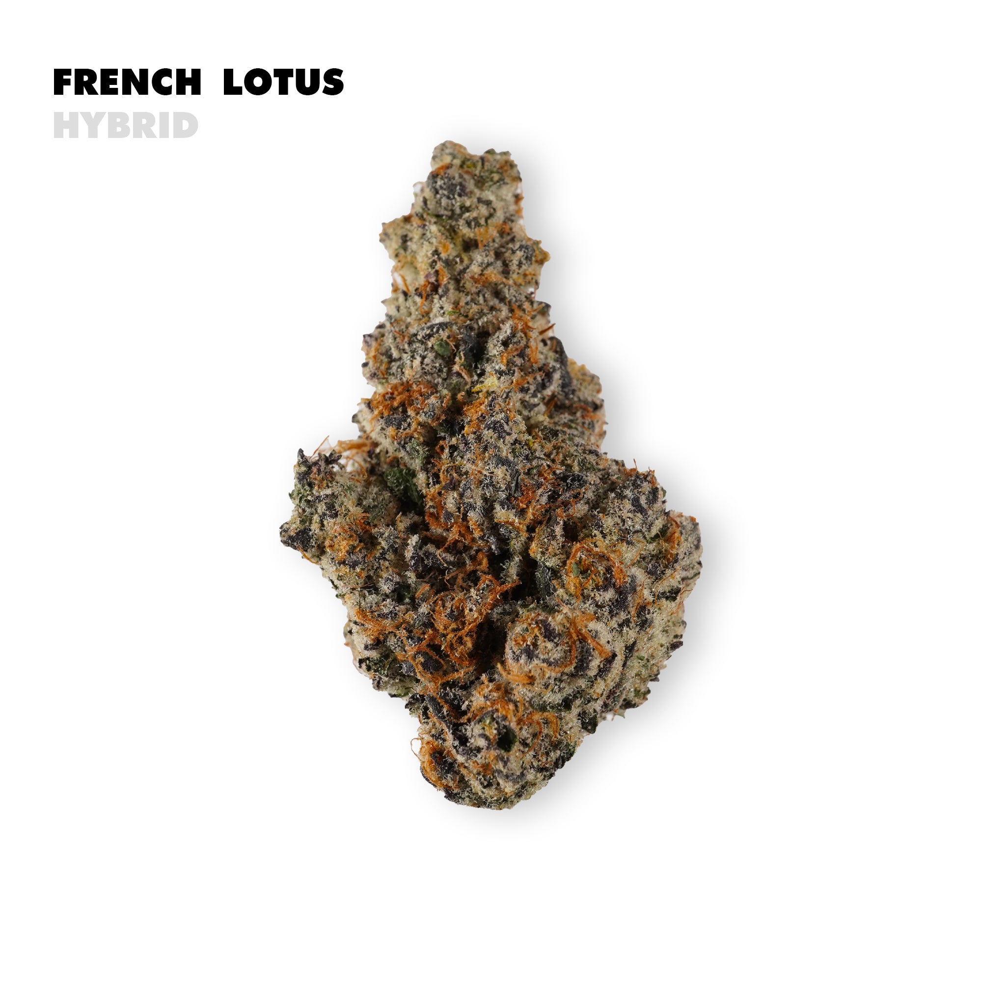 Elegant, soothing, and effortlessly refined — French Lotus is a balanced hybrid crafted for calm clarity and graceful relaxation. This strain delivers a smooth, tranquil body feel paired with a lightly uplifting, centered mental state. Perfect for those who want to unwind without heaviness, French Lotus offers serenity with sophistication. Designed for mindful moments, creative flow, or peaceful evenings, French Lotus gently quiets the mind while keeping you present, relaxed, and at ease.