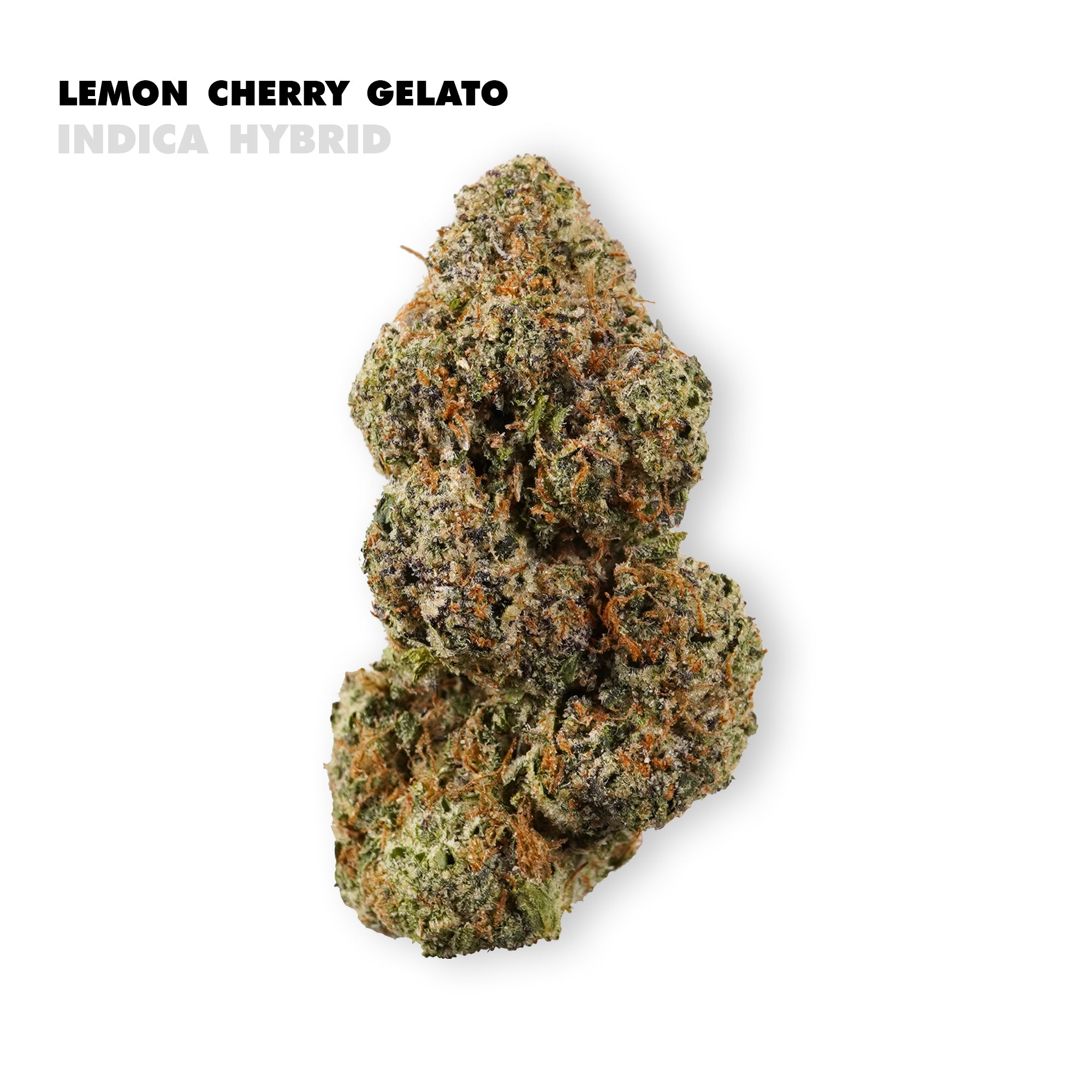 Sweet, refreshing, and irresistibly zesty — Lemon Cherry Gelato wraps your senses in a bright cascade of citrus and ripe fruit flavor that transitions into calm, balanced relaxation. This beloved hybrid harmonizes tart lemon and lush cherry sweetness with creamy undertones, giving every session a flavorful journey you’ll look forward to again and again.