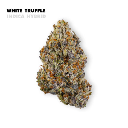 Rich, savory, and luxuriously smooth — White Truffle delivers a deeply calming experience wrapped in a bold, earthy flavor profile that feels both indulgent and refined. This potent hybrid leans into relaxation while maintaining a subtle mental clarity, making it perfect for unwinding without completely disconnecting. Dense, aromatic, and long-lasting, White Truffle offers a grounded, full-bodied session that lingers in all the right ways.