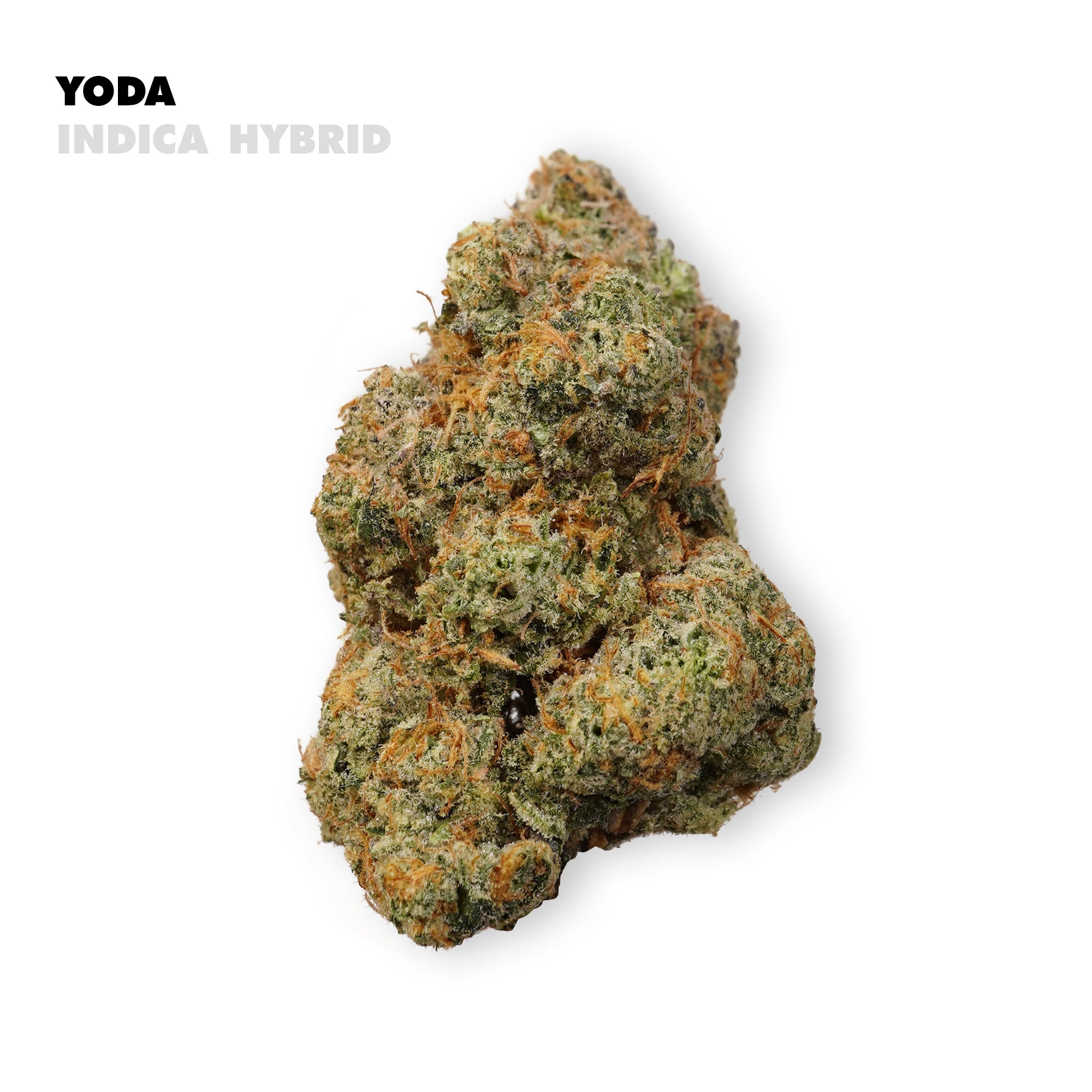 Wise, calming, and powerfully soothing — Yoda is the Jedi master of relaxation. This legendary strain brings a serene balance of mind and body, guiding you toward deep calm and peaceful reflection. Earthy, citrusy, and potent, Yoda OG is perfect for when you want to slow time, clear your thoughts, and simply be.